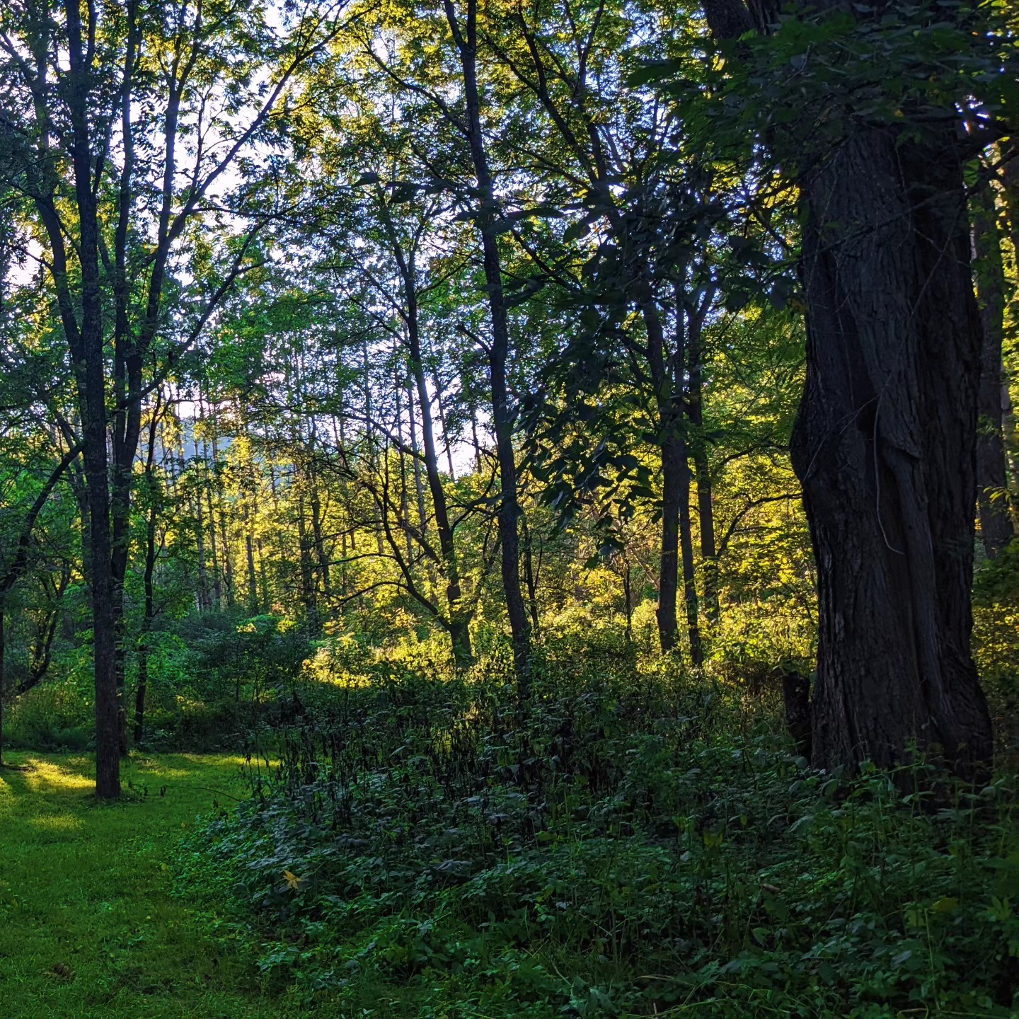 Kickapoo Reserve
