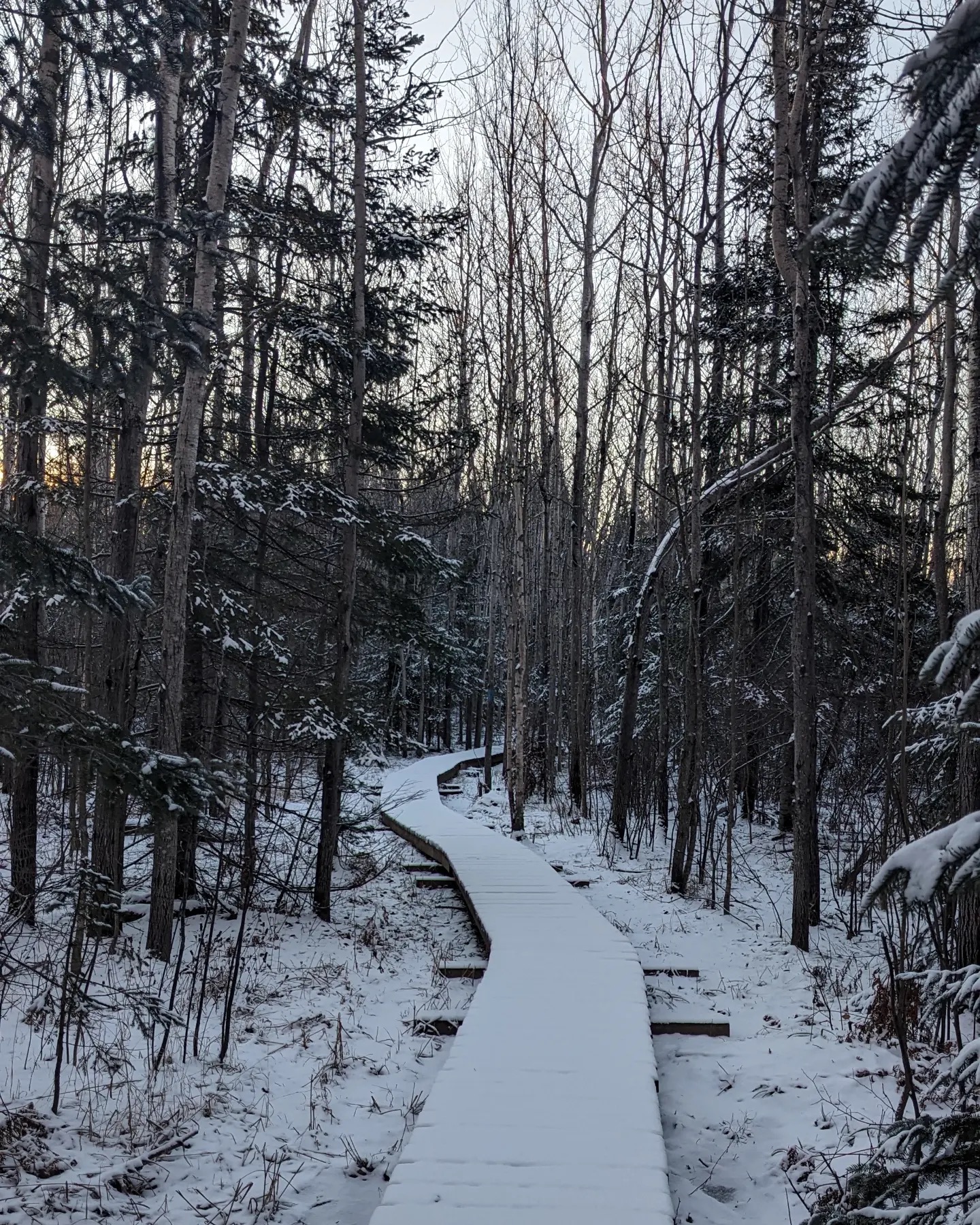 Superior Hiking Trail winter backpacking