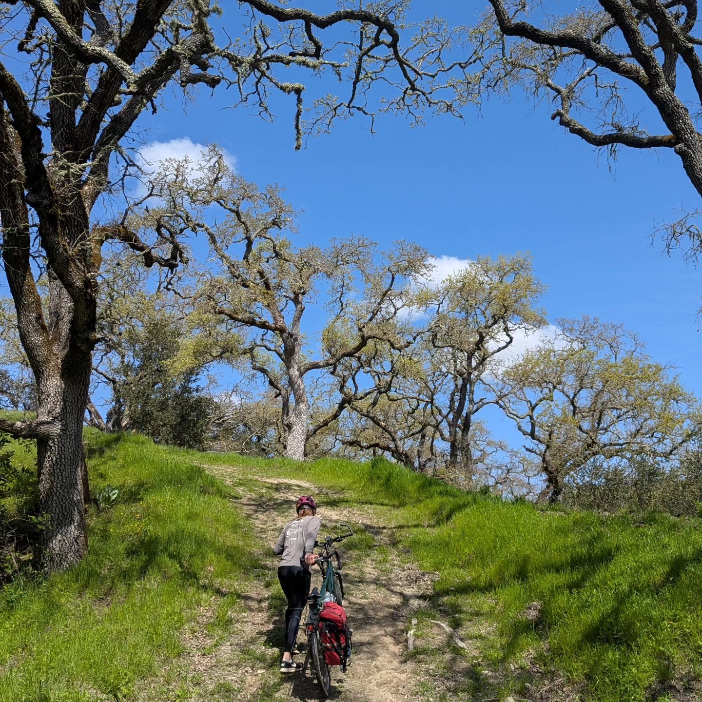 BART to bike to hike